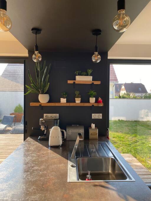 Maison D'Architecte Situee Sur La Route Des Vins Châtenois エクステリア 写真