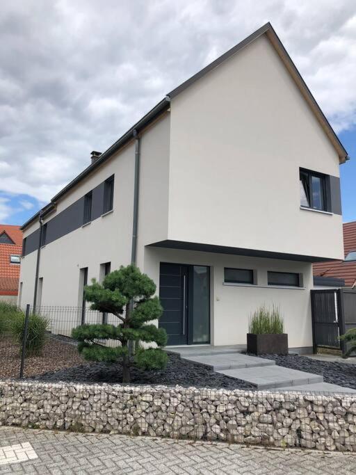 Maison D'Architecte Situee Sur La Route Des Vins Châtenois エクステリア 写真